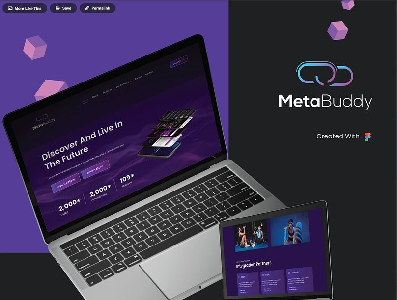 MetaBuddy 2.0 — web landing page UI design